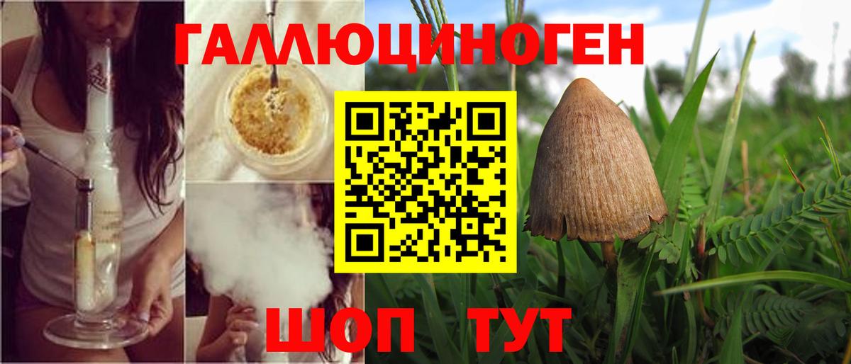 Галлюциногенные грибы Psilocybine cubensis Видное